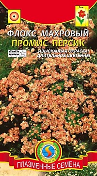 Флокс Друммонда махровый Промис персик 5 шт.(ПС)